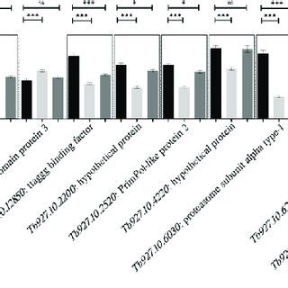 Transcript Levels Of Telomere Associated Proteins In Wt Ku And