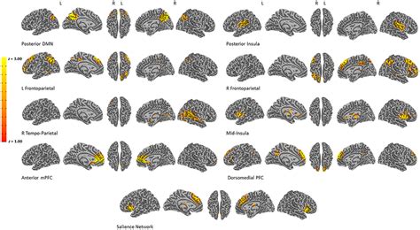 Frontiers Test Retest Reliability Of Fmri During An Emotion