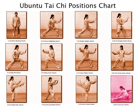 Ubuntu Tai Chi Positions Chart Tai Chi Tai Chi Exercise Tai Chi Qigong