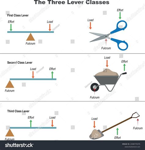 Examples Of Levers Simple Machines