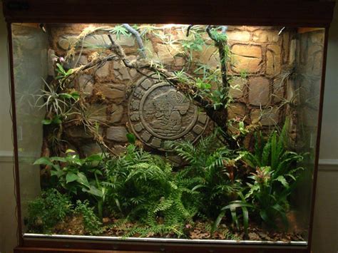 Snake Terrarium Decor Ideas