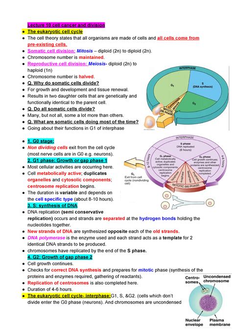 Biosci Csf Lecture Lecture Cell Cancer And Division The