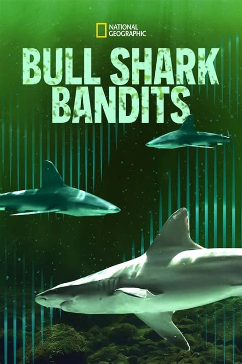 Bull Shark Bandits 2023 Posters The Movie Database TMDB