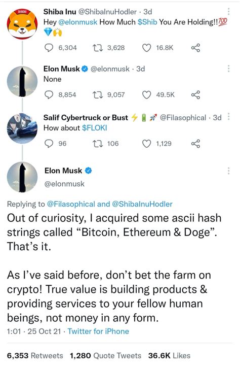 Bukan Shiba Inu Elon Musk Kantongi Kripto Ini