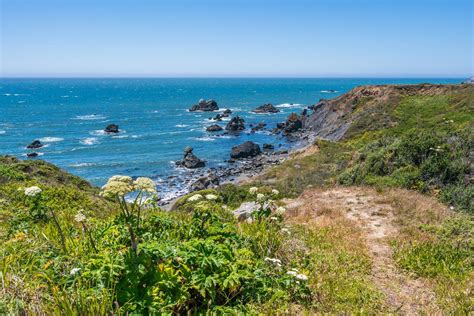 The Ultimate Guide To Sonoma Coast State Park