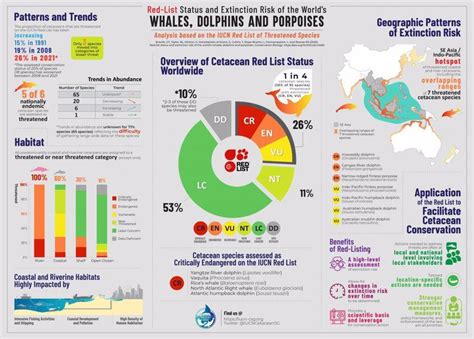 Red List Status and Extinction Risk for the World's Cetaceans