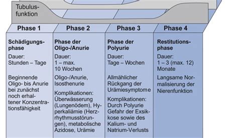 Erkrankungen Der Urologie Karteikarten Quizlet