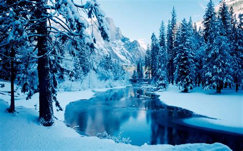 100 Winter Wonderland Backgrounds