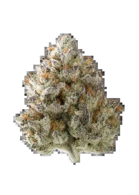 tropical cherry cannabis strain information growdiaries