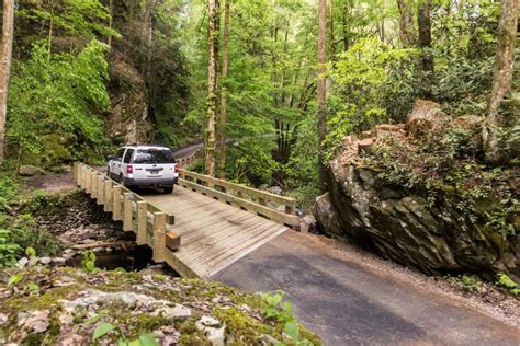 Roaring Fork Motor Nature Trail Opens Friday | wbir.com