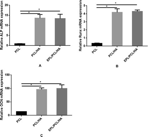 Quantitative Analyses Of Osteogenesis Related Gene Expressions I E