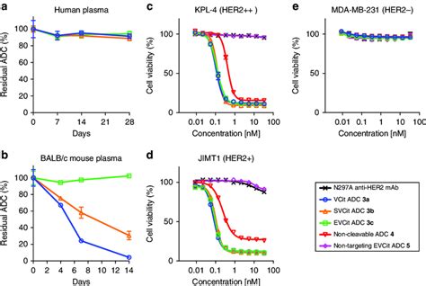 Plasma Stability And In Vitro Cytotoxicity A Stability In Human