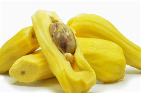 Jackfruit Seeds How To Cook Them With Recipe Ideas The Roaming Fork