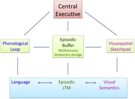 Improving Second Language Acquisition With Working Memory