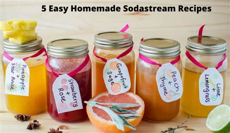 Sodastream Recipes Low Sugar Bryont Blog