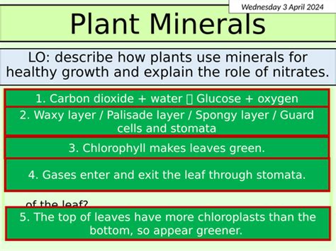 Ks3 Biology Plant Minerals Teaching Resources