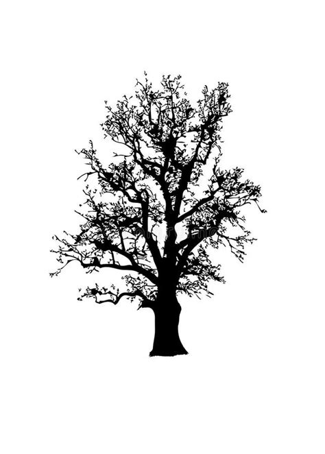 Tree Silhouette Stock Vector Illustration Of Ntree Vector 78270904