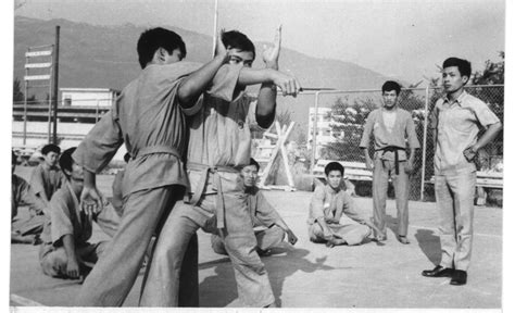 Le Vovinam Viet Vo Dao Qu Est Ce Que C Est