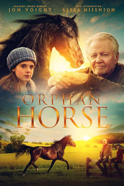 Orphan Horse 2018 A Young Runaway Girl Hides Out In The Barn Of A