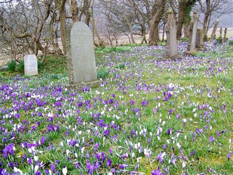 Churchyard St John S Church Maigheach Gheal Geograph Britain And