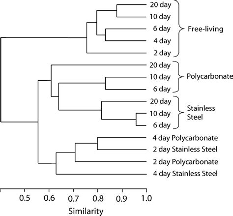 Upgma Dendrogram Representing The Relatedness Of Bacterial Communities