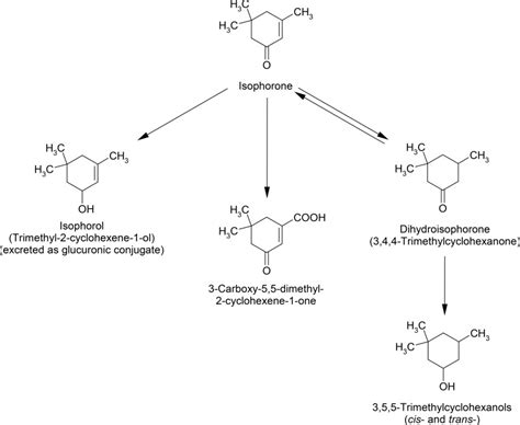 Figure 3-1, Metabolic Scheme for Isophorone - Toxicological Profile for Isophorone - NCBI Bookshelf