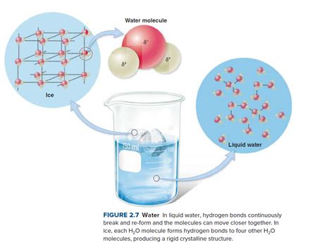 Hydrogen Bonds Ice