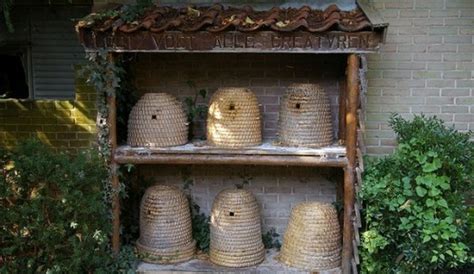 Bee hives removal || BeeKeeping