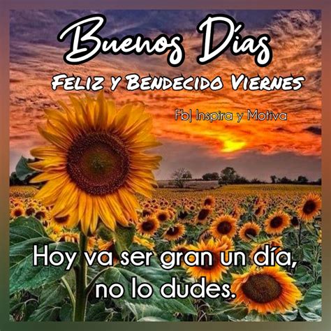 Pin En Girasoles Dar Buenos Dias Buenos Dias Viernes Frases De