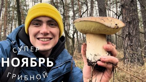 НЕ ВЕРИМ СВОИМ ГЛАЗАМ! Белые - ГИГАНТЫ, Польские - ПОВСЮДУ, Грибов ...