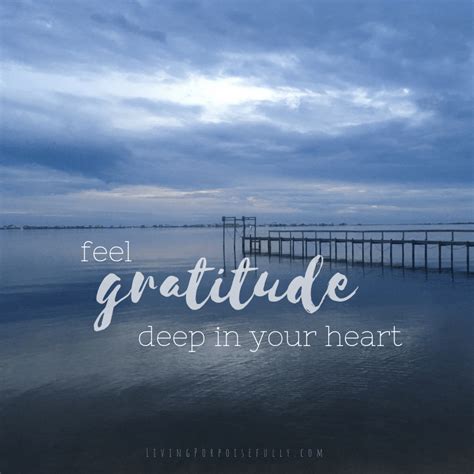 Gratitude - Living Porpoisefully