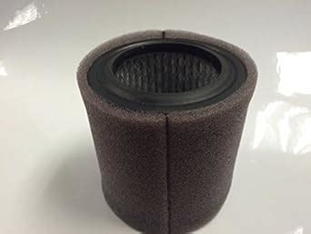 P A Champion Replacement Air Filter W Prefilter Amazon