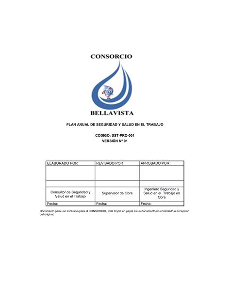 Plan Anual De Seguridad Y Salud En El Trabajo Pdf