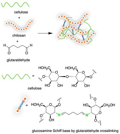 Marine Drugs Free Full Text Chitosan Based Biomaterials Insights