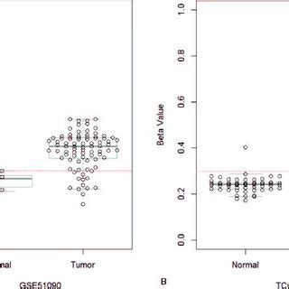 Association Of Thyroid Carcinoma Patient Survival And Rassf A Promoter