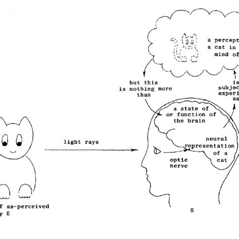 A Dualist Model Of The Causal Sequence In Visual Perception Light