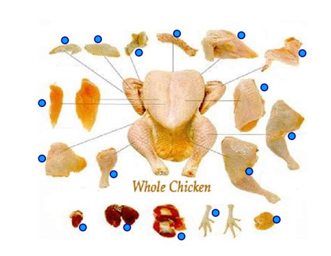 Chicken Cuts Diagram Quizlet