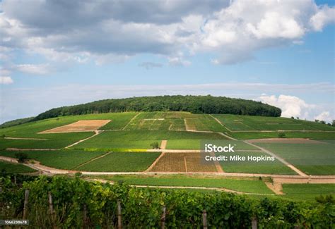 Burgundy Landscape 4 Stock Photo - Download Image Now - Vineyard ...