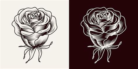 Premium Vector Vintage Blooming Rose Engraving Style