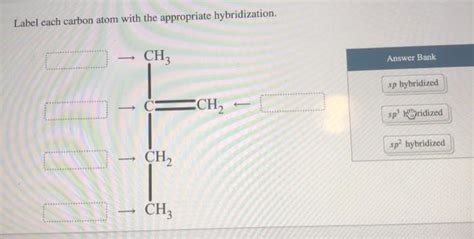 Solved Label Each Carbon Atom With The Appropriate Chegg