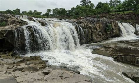 Adilabad | Tadoba - What to Expect | Timings | Tips - Trip Ideas by ...