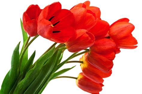 Premium Photo Bouquet Of Tulips