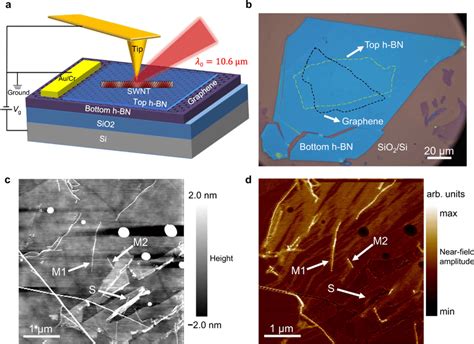 Infrared Nano Imaging Of Plasmons In A Swnt H Bn Graphene Download Scientific Diagram