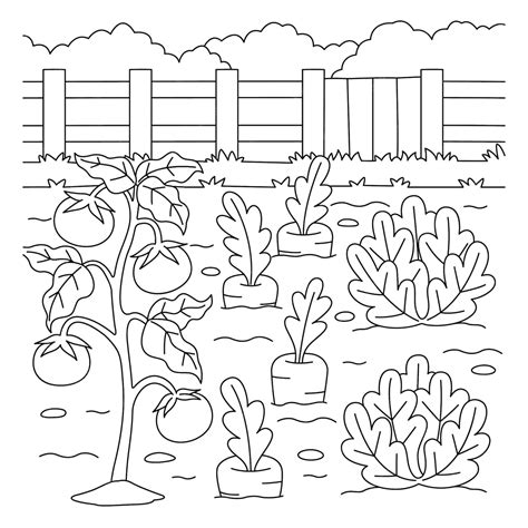 Premium Vector | Vegetable Field Coloring Page for Kids