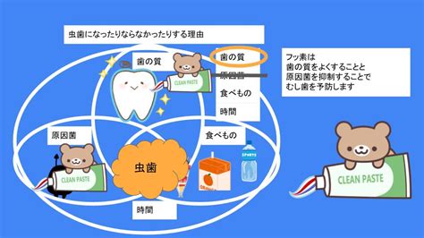 虫歯予防の方法3 フッ素塗布｜はえかわり中の治療なら池田歯科医院