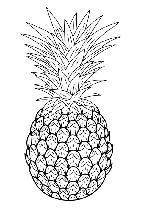 Premium Vector Tropical Plant Pineapple Hand Drawn Vector Black And