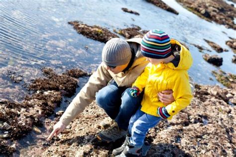 Homer Alaska Islands And Oceans Visitor Center Year Round Adventure