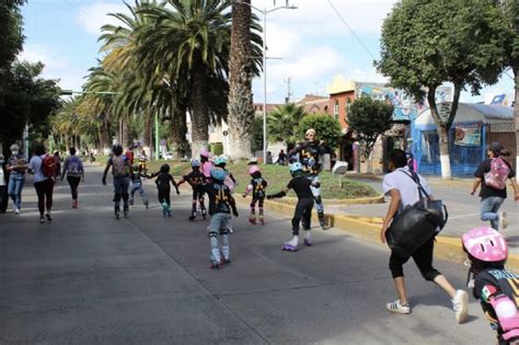 Alcald A De Pachuca Derribar Dos Palmeras De Avenida Revoluci N Y Una