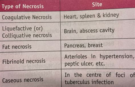 TYPES OF NECROSIS – Dentowesome