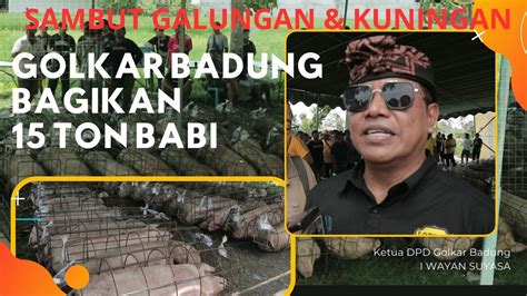 Sambut Galungan Dan Kuningan DPD Golkar Badung Bagikan 15 Ton Daging